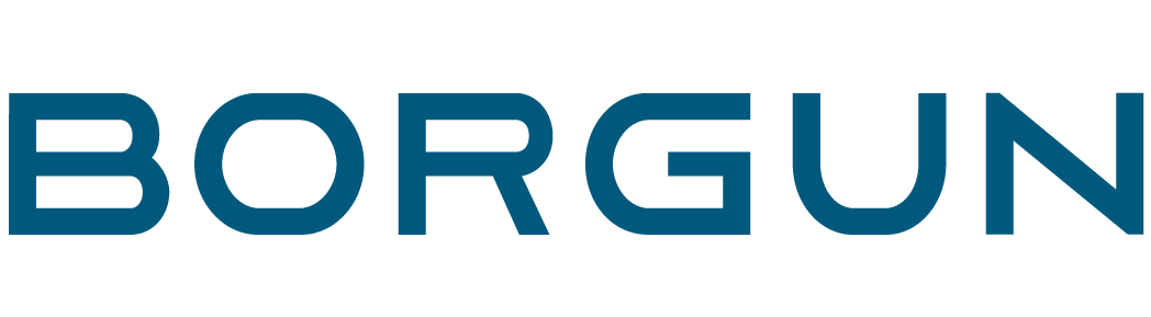 Borgun Logo